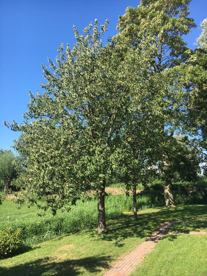 Landelijk Appartement In Een Mooi Recreatiegebied Abcoude Εξωτερικό φωτογραφία